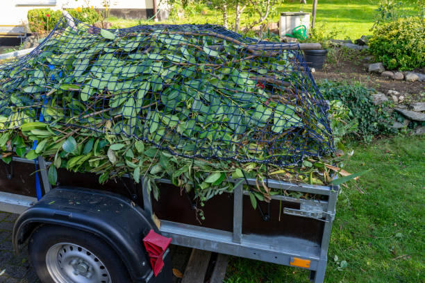 Professional Junk Removal Services in Littleton, CO