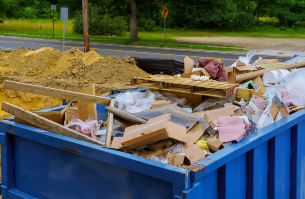Best Shed Removal  in Littleton, CO